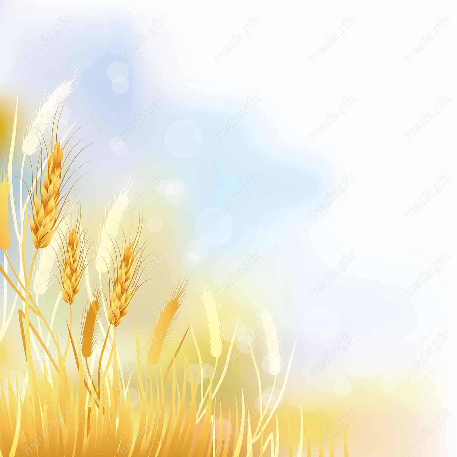 وکتور خوشه گندم  MV002988