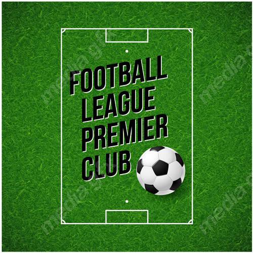 وکتور توپ فوتبال و تور MV002994