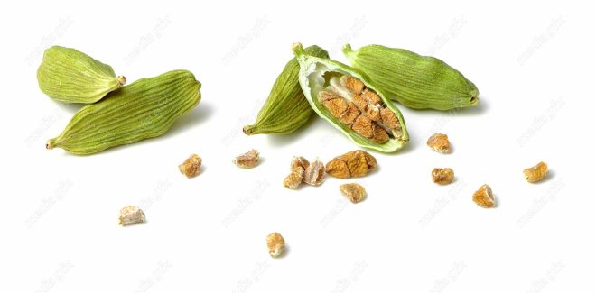 عکس با کیفیت هل پس زمینه سفید MJ003131