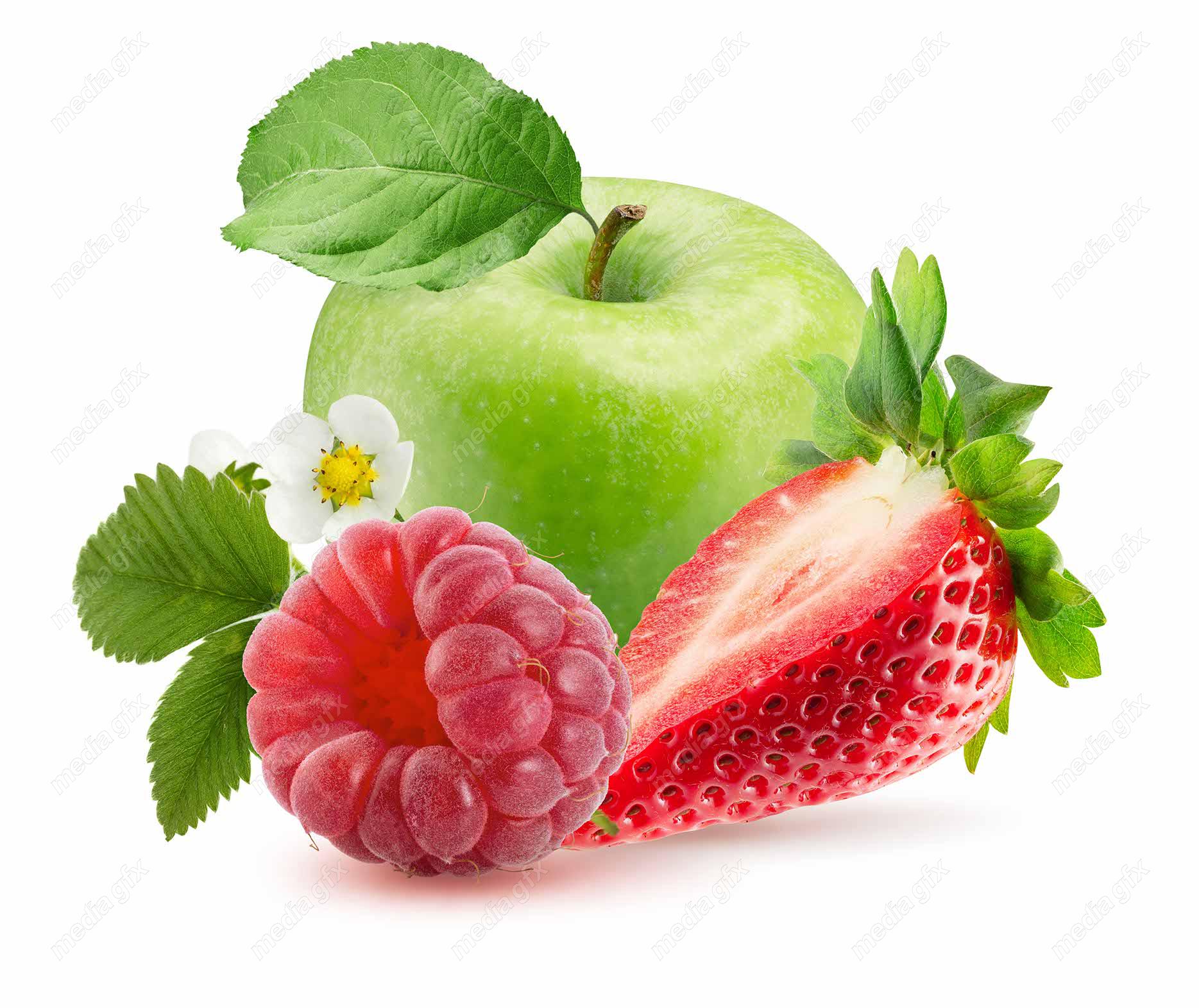 عکس با کیفیت سیب سبز پس زمینه سفید  MJ004826