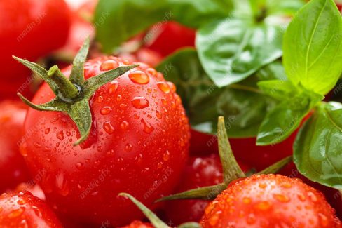 عکس با کیفیت گوجه فرنگی MJ005320