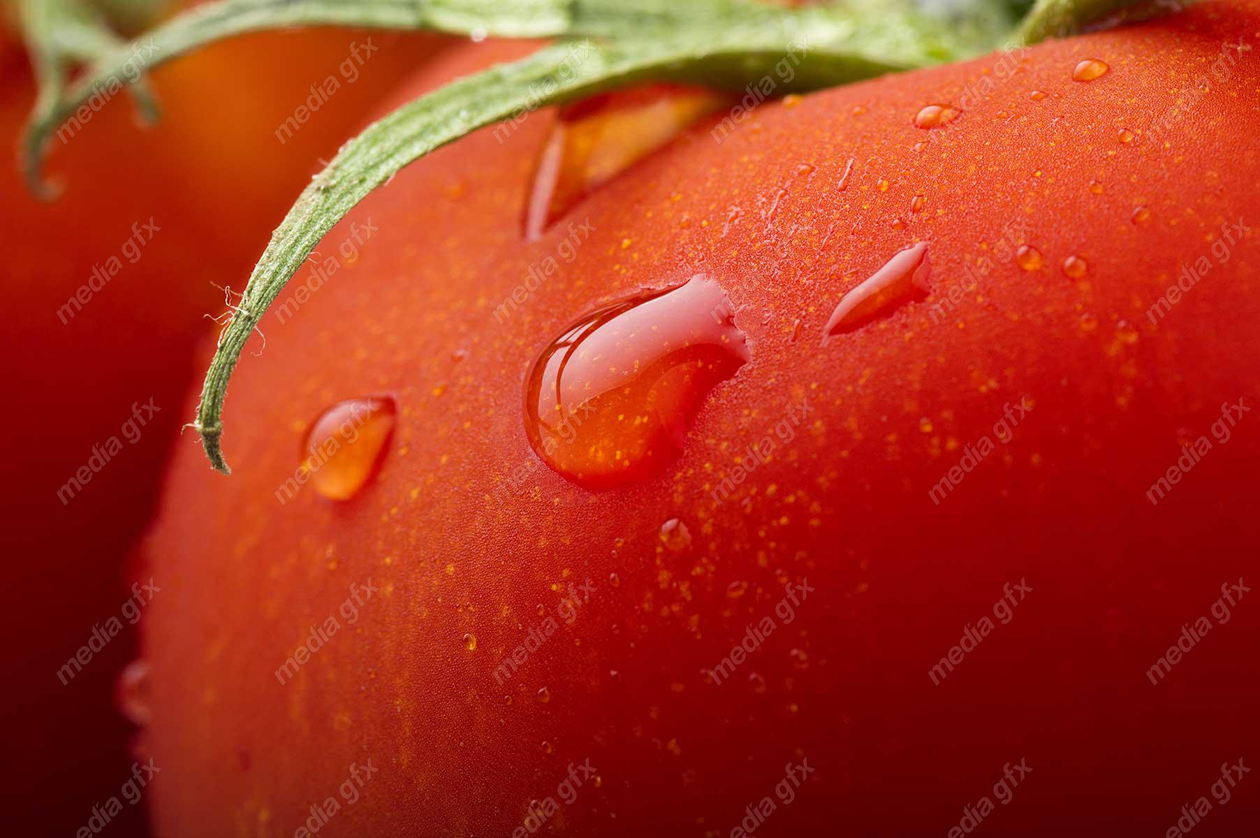 عکس با کیفیت گوجه فرنگی MJ005321