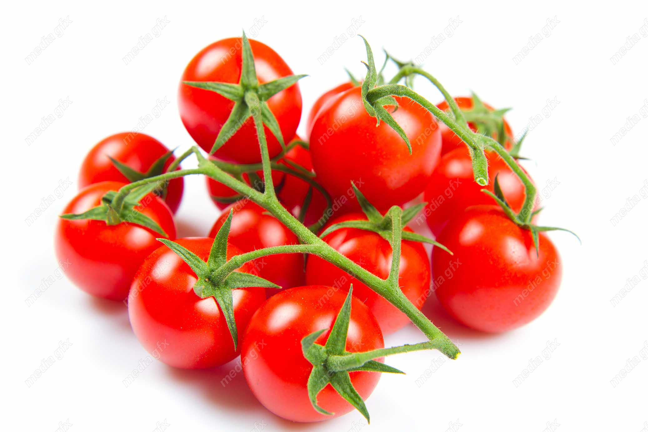 عکس با کیفیت گوجه فرنگی پس زمینه سفید MJ005352