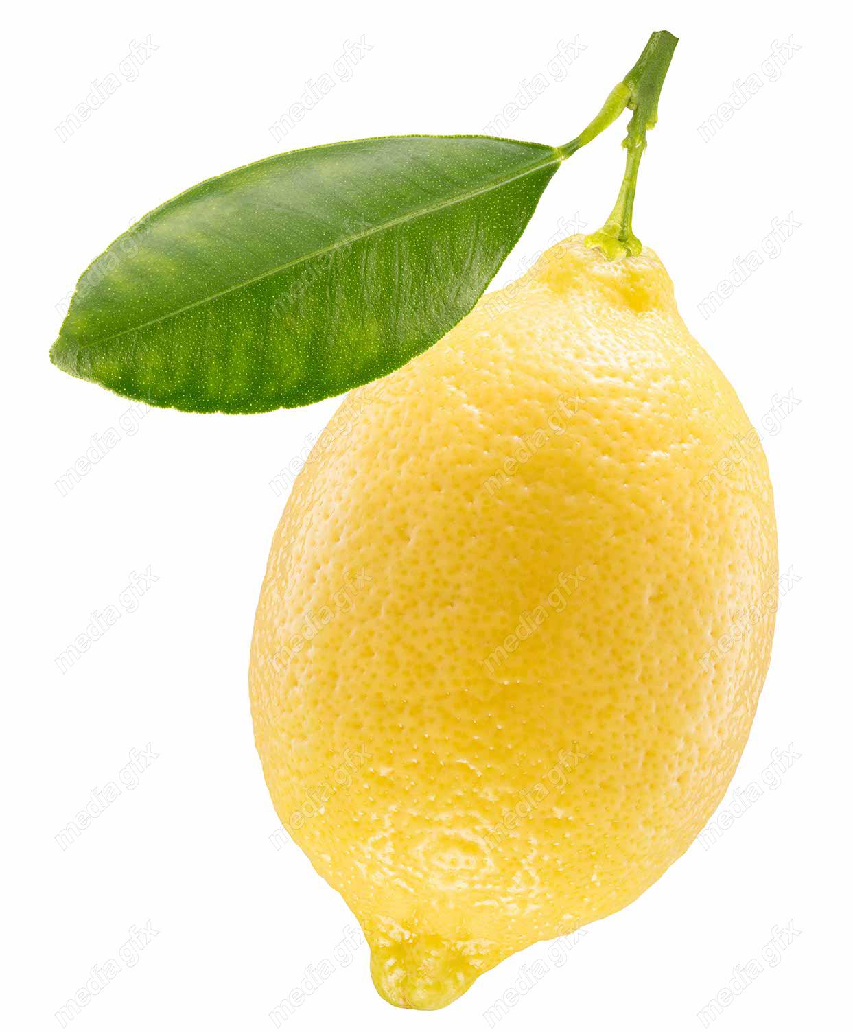 عکس با کیفیت لیمو ترش پس زمینه سفید MJ005610
