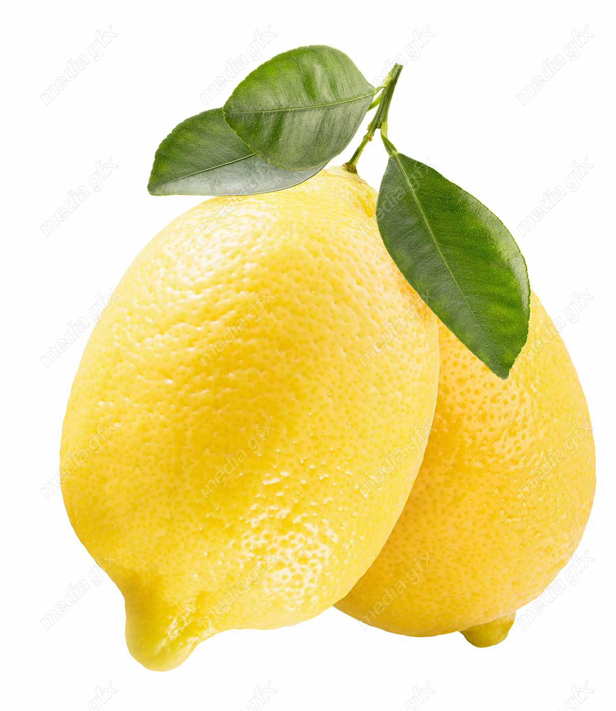 عکس با کیفیت لیمو ترش پس زمینه سفید MJ005613