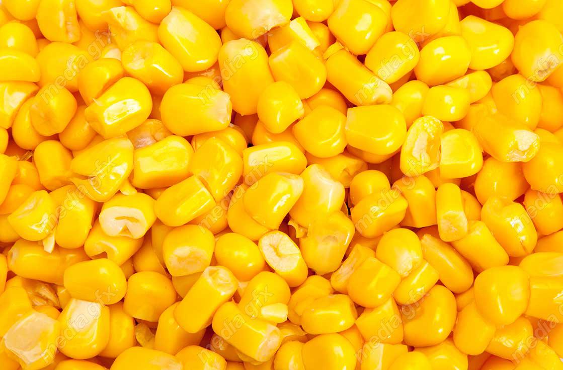 عکس با کیفیت ذرت MJ005679