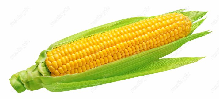 عکس با کیفیت ذرت پس زمینه سفید MJ005699