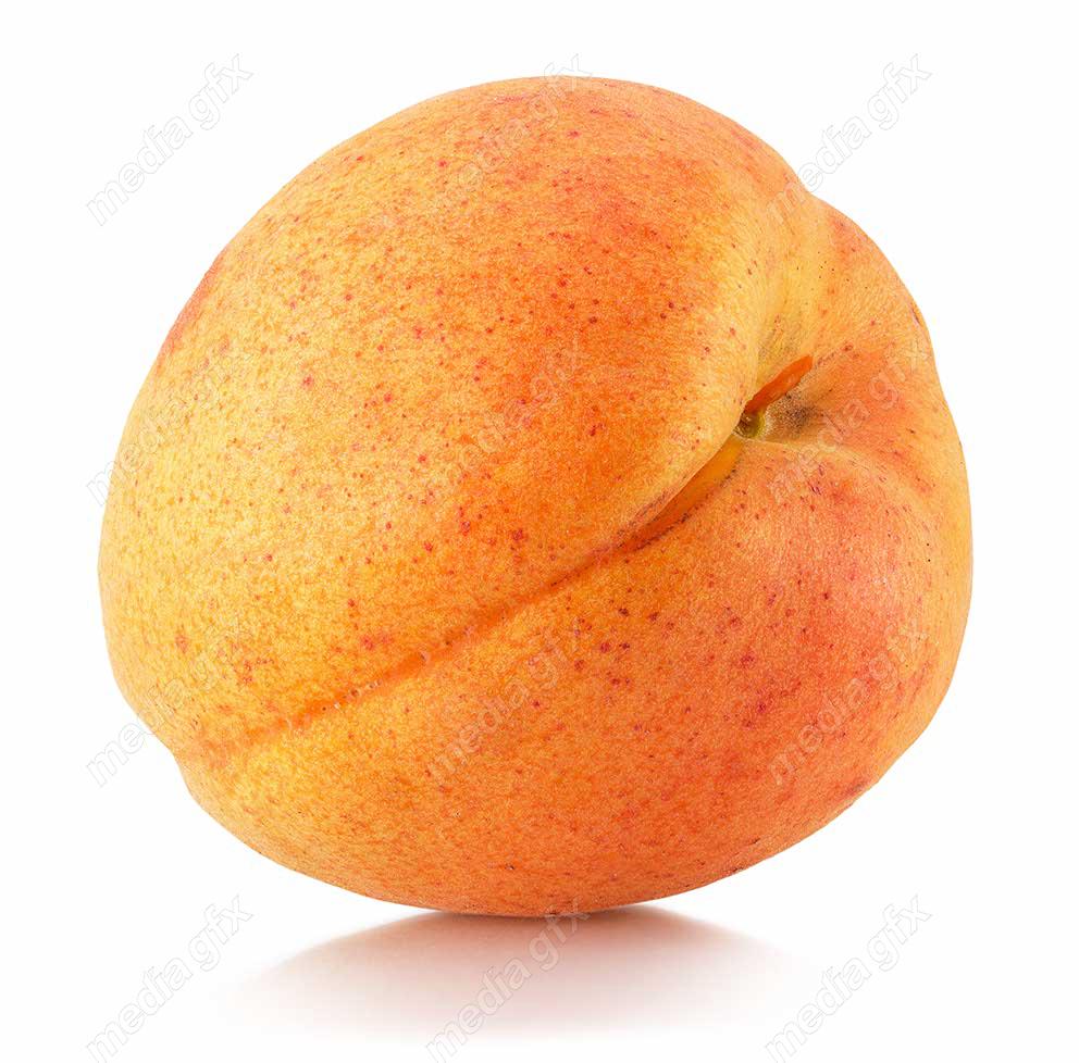 عکس با کیفیت زردآلو جدا شده در پس زمینه سفید MJ005713