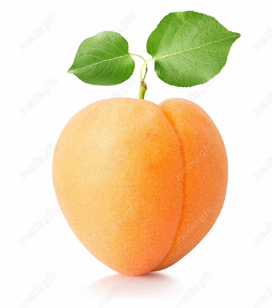 عکس با کیفیت زردآلو جدا شده در پس زمینه سفید MJ005714