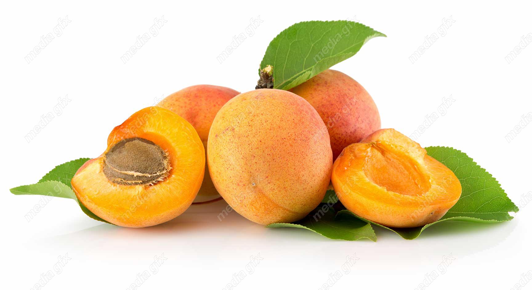 عکس با کیفیت زردآلو جدا شده در پس زمینه سفید MJ005715