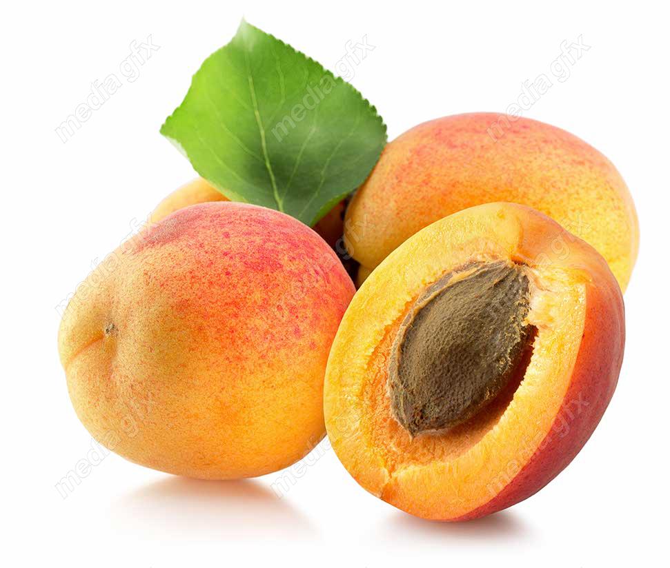 عکس با کیفیت زردآلو جدا شده در پس زمینه سفید MJ005716