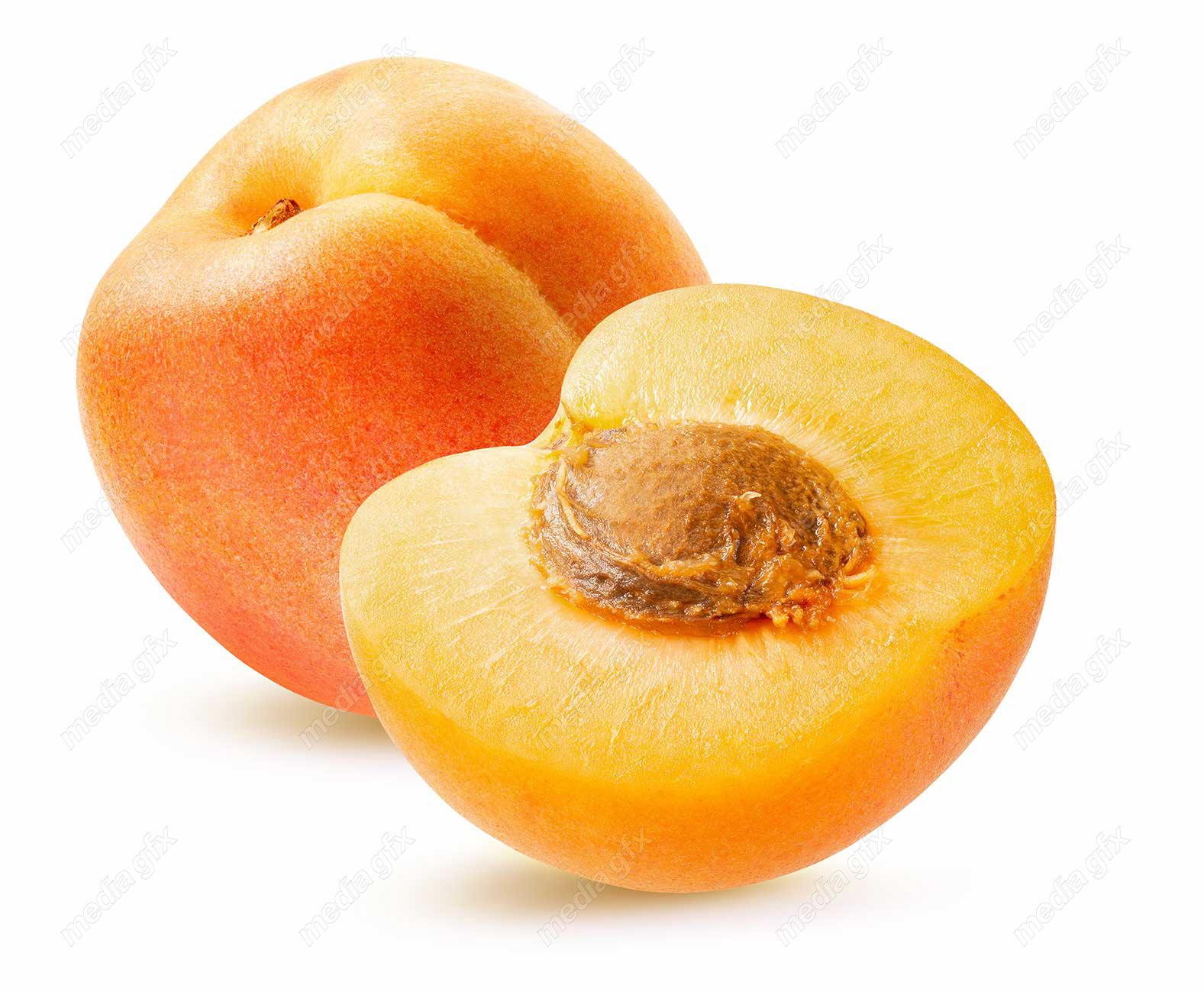 عکس با کیفیت زردآلو جدا شده در پس زمینه سفید MJ005721