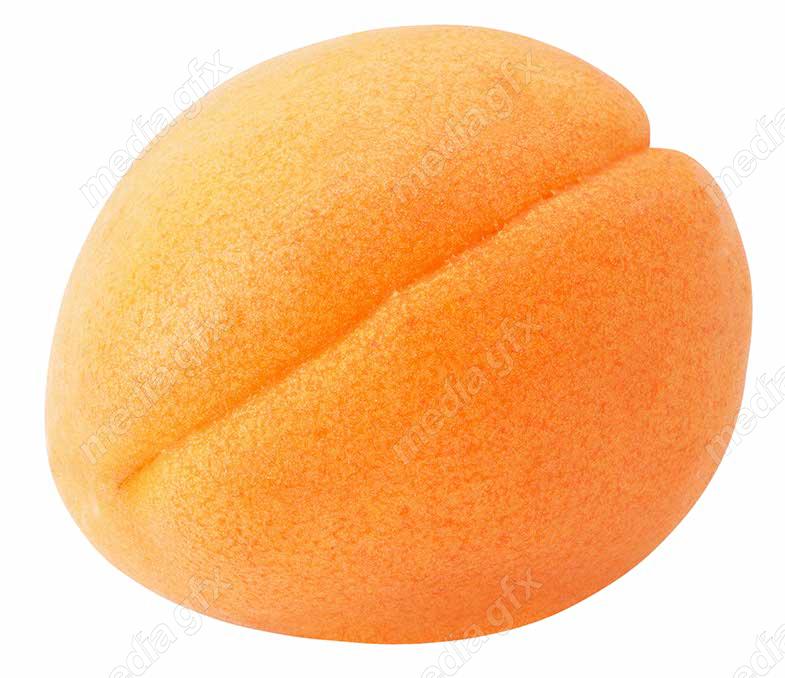 عکس با کیفیت زردآلو جدا شده در پس زمینه سفید MJ005723