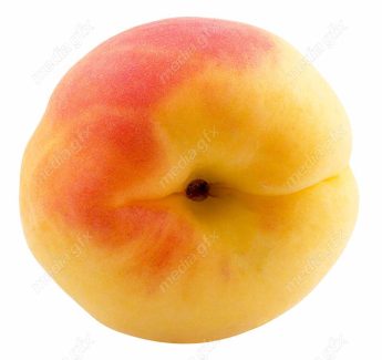 عکس با کیفیت زردآلو جدا شده در پس زمینه سفید MJ005724