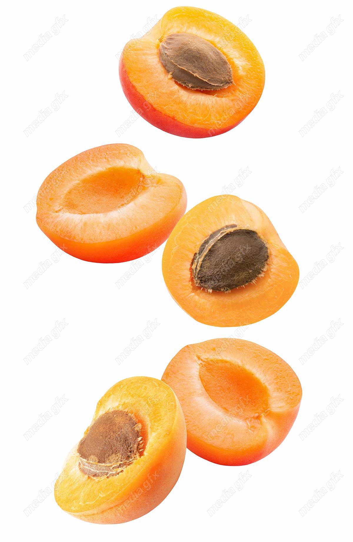 عکس با کیفیت زردآلو جدا شده در پس زمینه سفید MJ005725