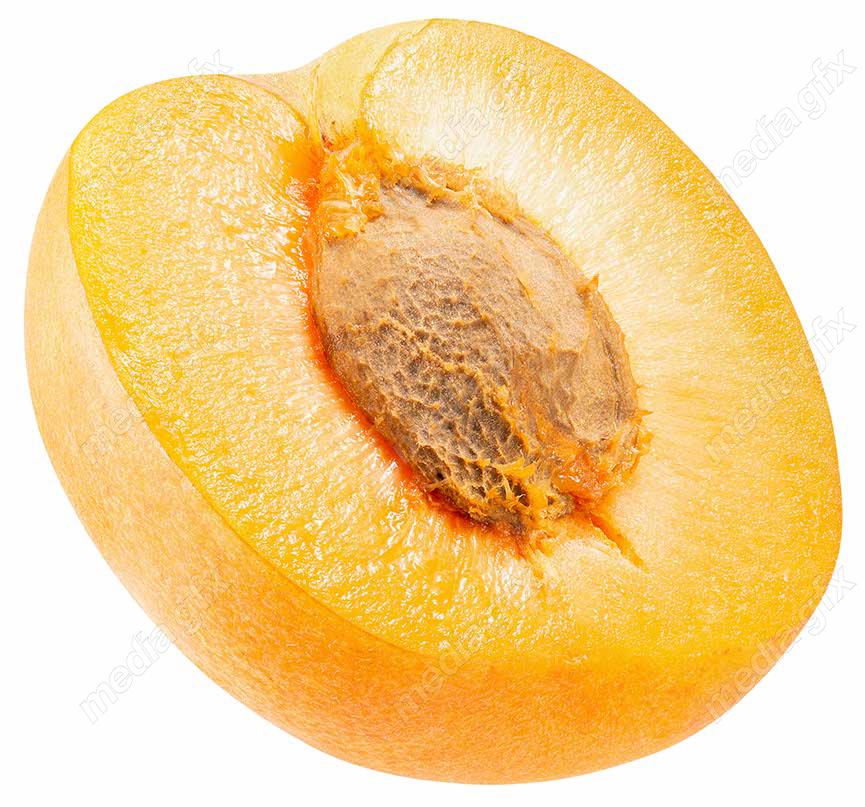 عکس با کیفیت زردآلو جدا شده در پس زمینه سفید MJ005734