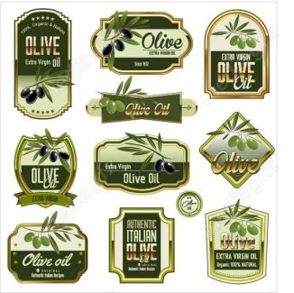 وکتور طرح لیبل و برچسب زیتون MV005835