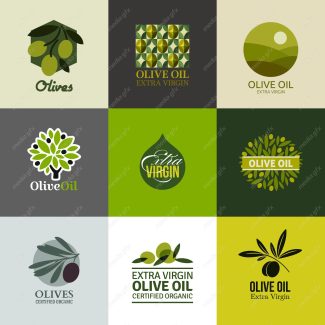وکتور لوگو زیتون  MV005850