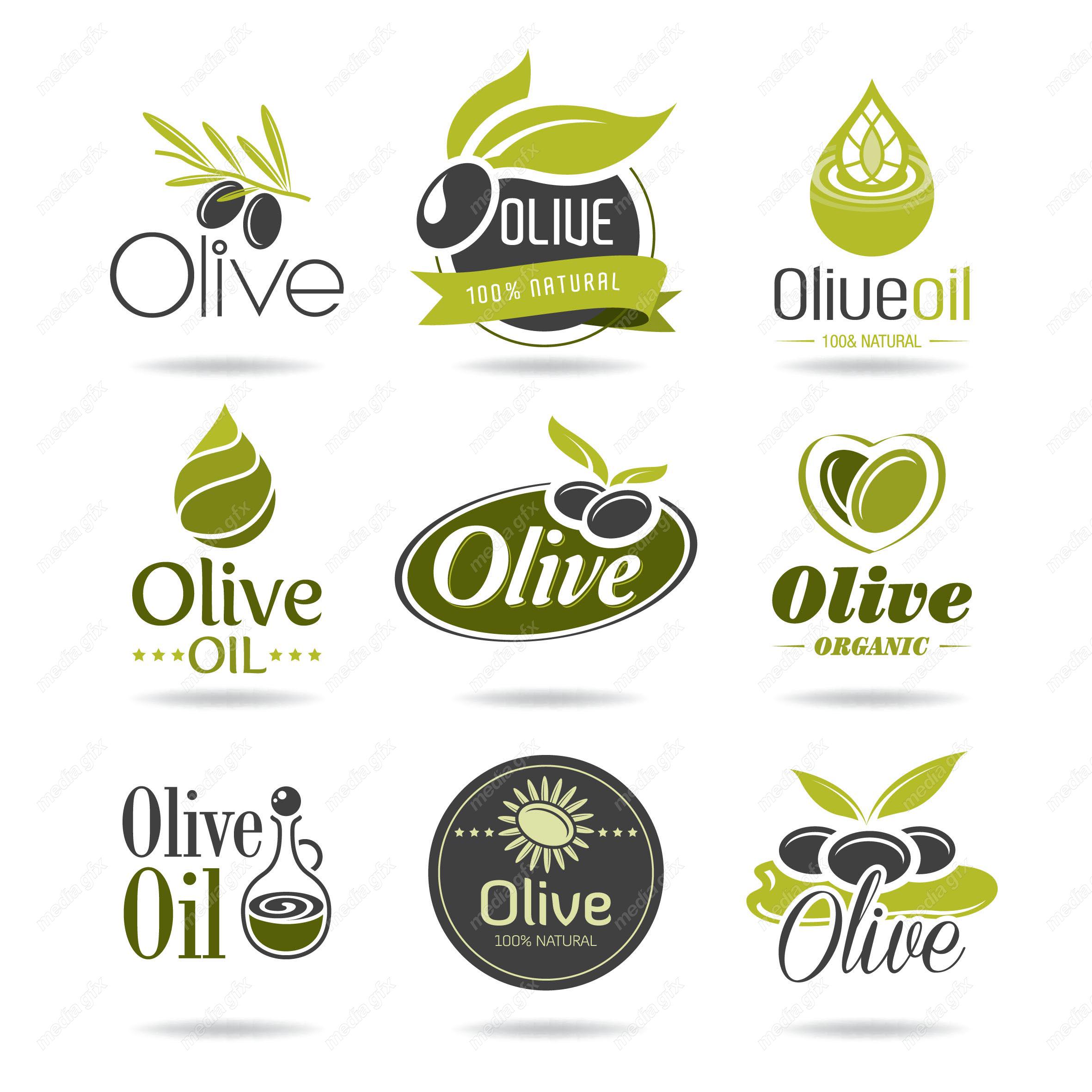 وکتور لوگو زیتون  MV005851