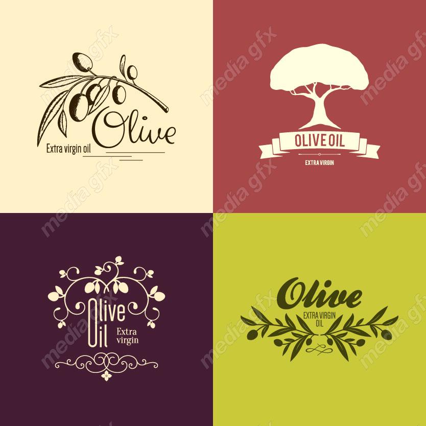 وکتور لوگو زیتون  MV005855