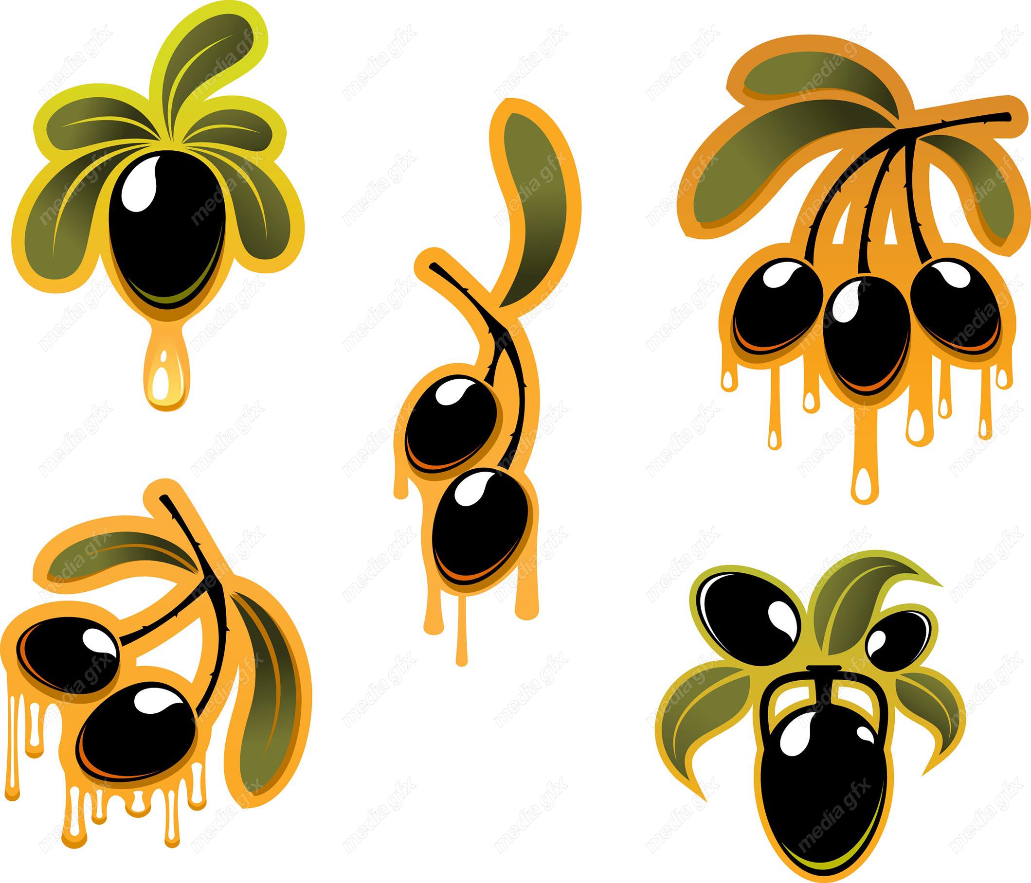 وکتور روغن زیتون  MV005863