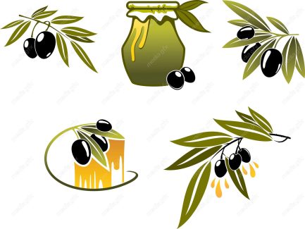 وکتور روغن زیتون  MV005864