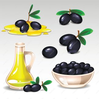 وکتور روغن زیتون  MV005867