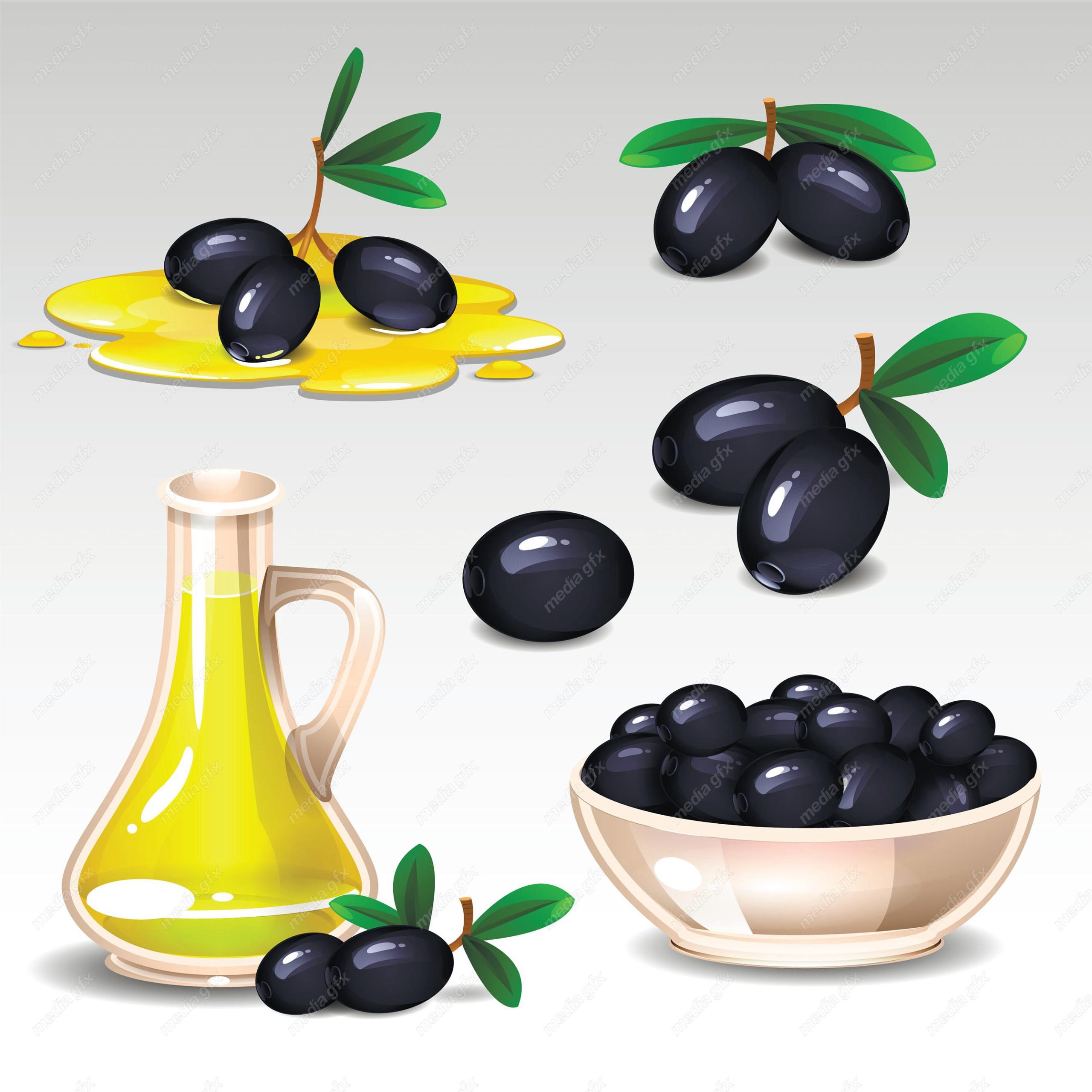 وکتور روغن زیتون  MV005867