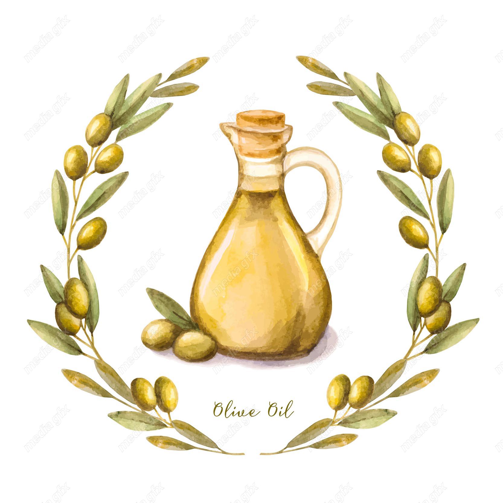 وکتور روغن زیتون  MV005869