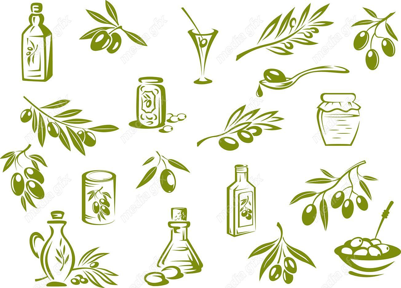 وکتور روغن زیتون  MV005870