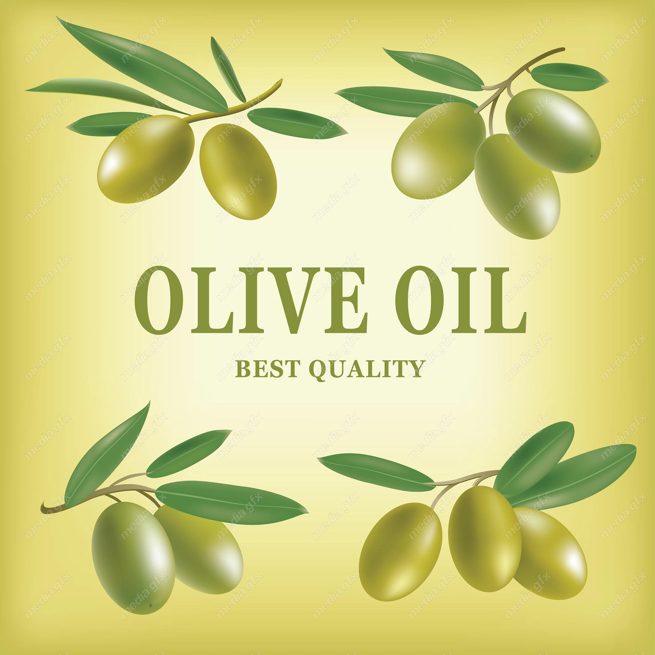 وکتور زیتون  MV005874