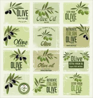 وکتور زیتون  MV005875