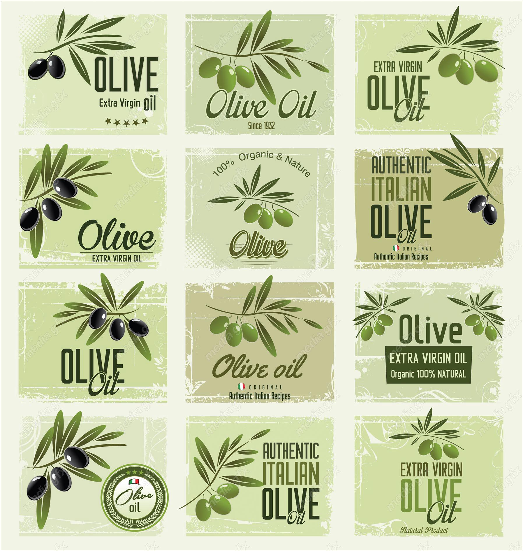 وکتور زیتون  MV005875