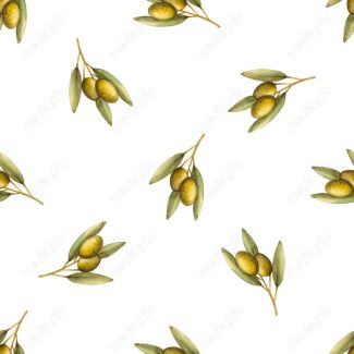 وکتور زیتون  MV005882