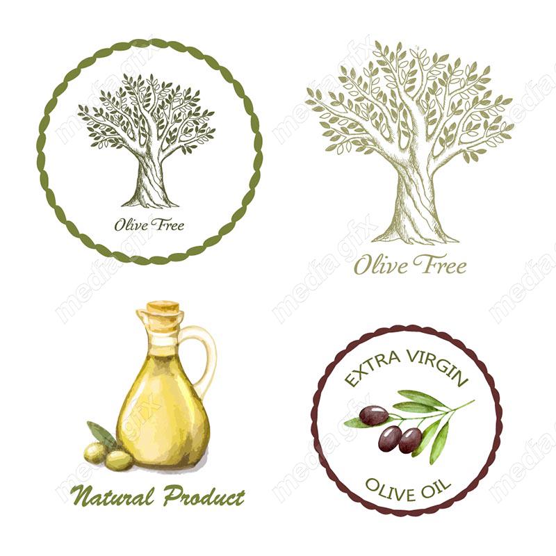 وکتور زیتون  MV005887