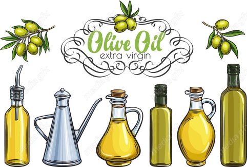 وکتور طرح زیتون و روغن زیتون MV005888