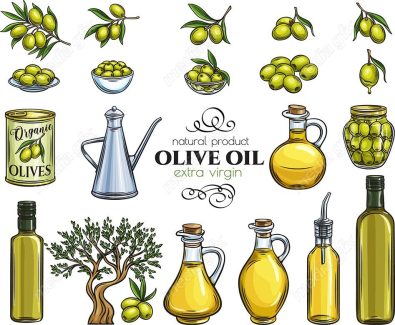 وکتور طرح زیتون و روغن زیتون MV005889