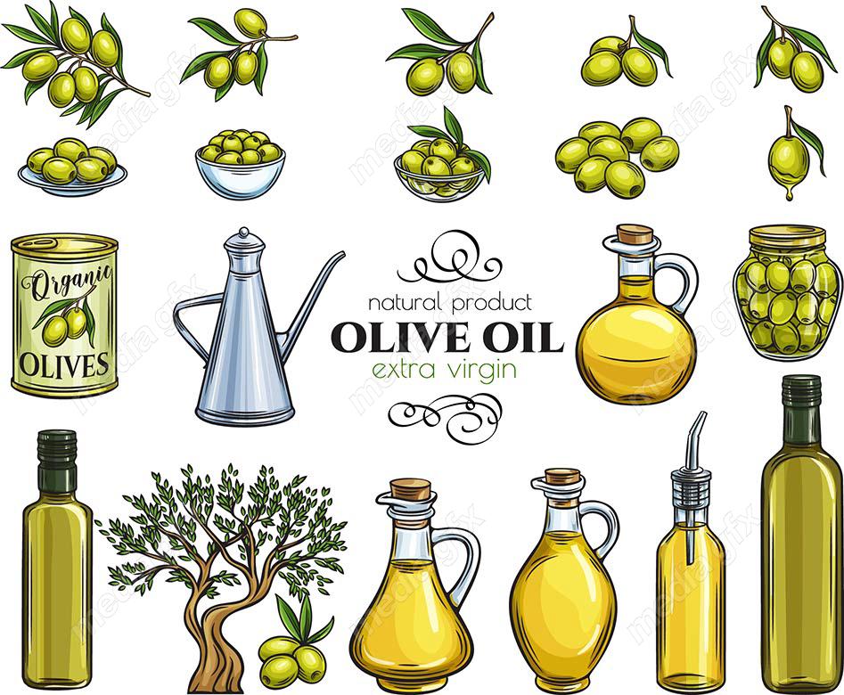 وکتور طرح زیتون و روغن زیتون MV005889