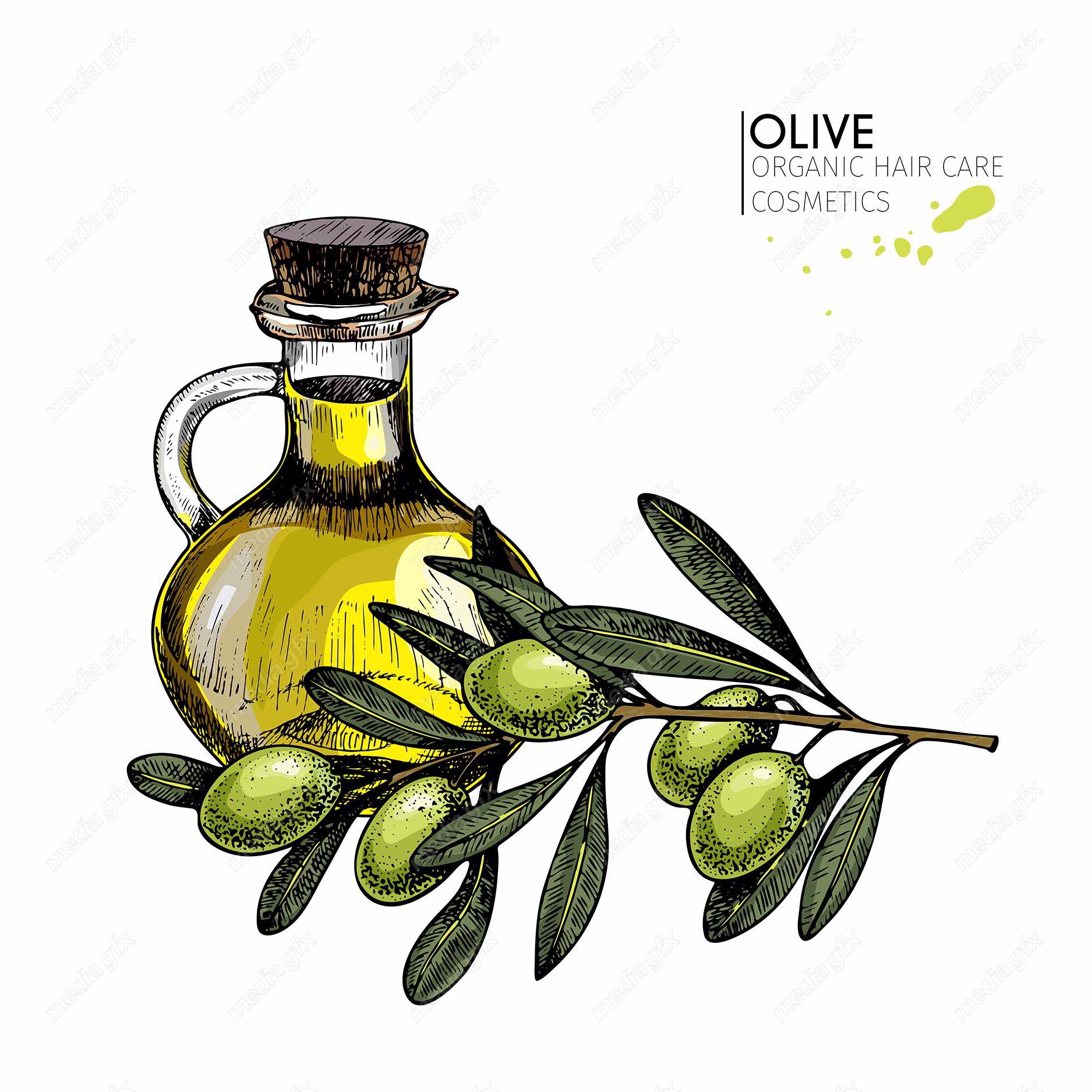 وکتور طرح زیتون و روغن زیتون MV005891