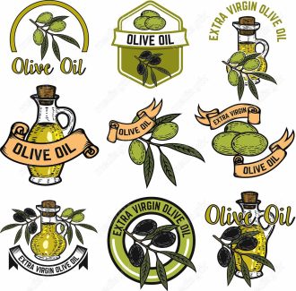 وکتور طرح زیتون و روغن زیتون MV005897
