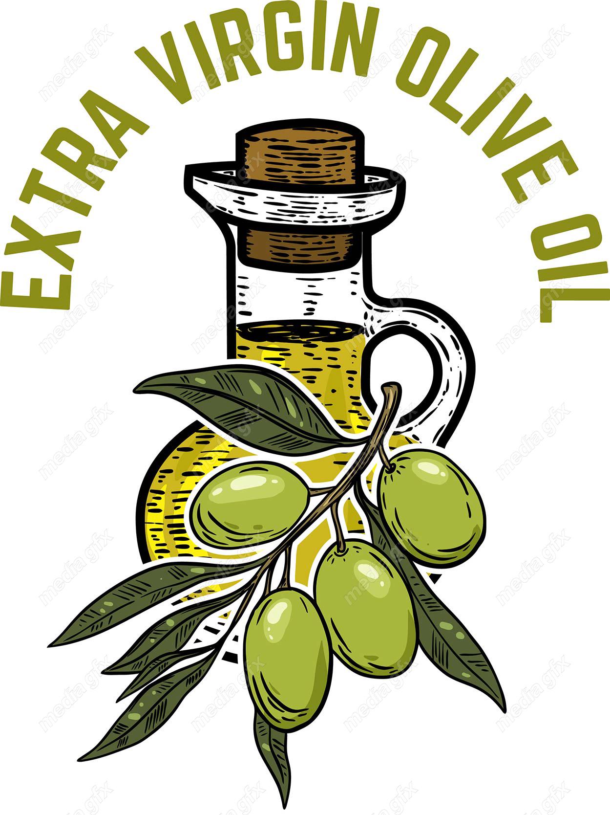 وکتور طرح زیتون و روغن زیتون MV005898