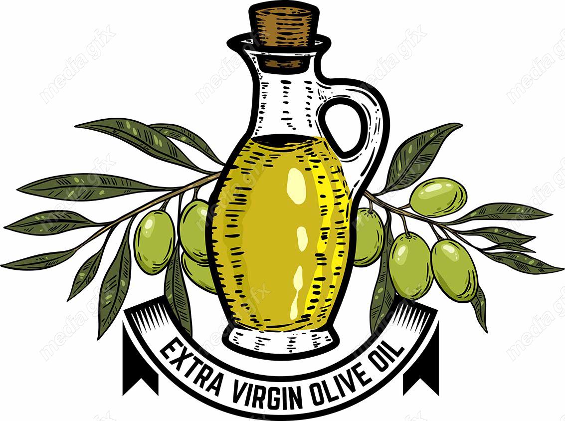 وکتور طرح زیتون و روغن زیتون MV005899