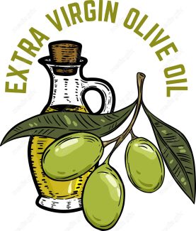 وکتور طرح زیتون و روغن زیتون MV005900
