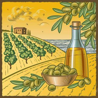 وکتور طرح زیتون و روغن زیتون MV005904