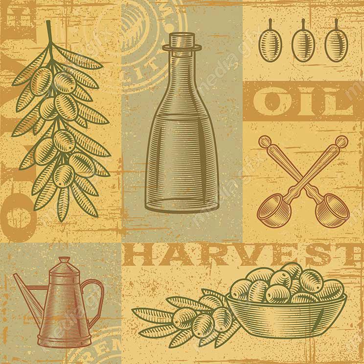وکتور طرح زیتون و روغن زیتون MV005905