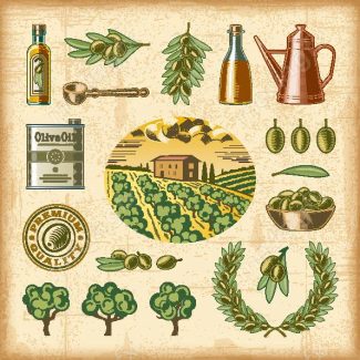 وکتور طرح زیتون و روغن زیتون MV005906