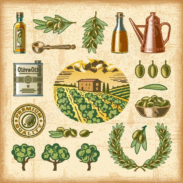 وکتور طرح زیتون و روغن زیتون MV005906