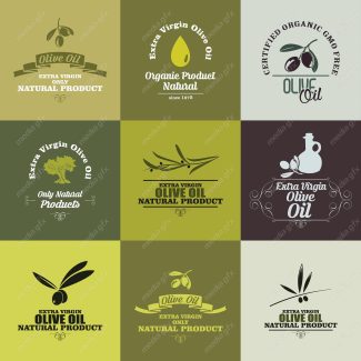وکتور طرح لوگوی زیتون و روغن زیتون MV005910
