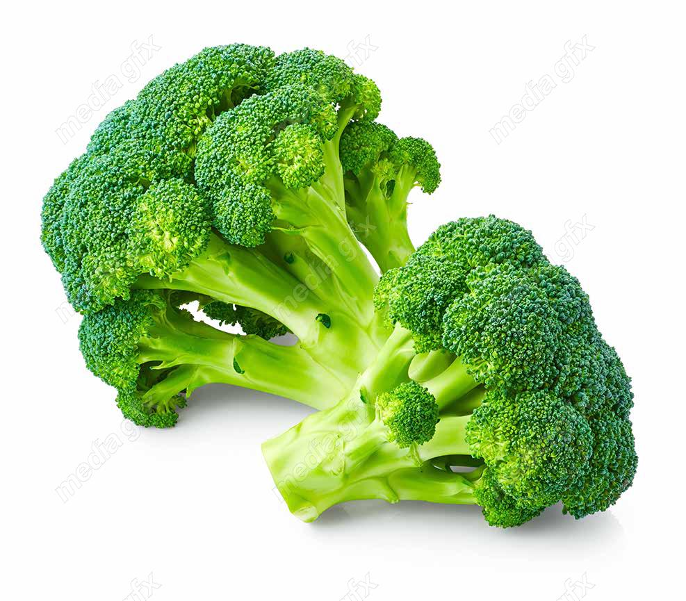 عکس با کیفیت کلم بروکلی پس زمینه سفید MJ005927