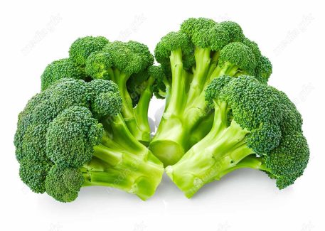 عکس با کیفیت کلم بروکلی پس زمینه سفید MJ005929